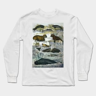 Vintage Whales and Walruses Long Sleeve T-Shirt